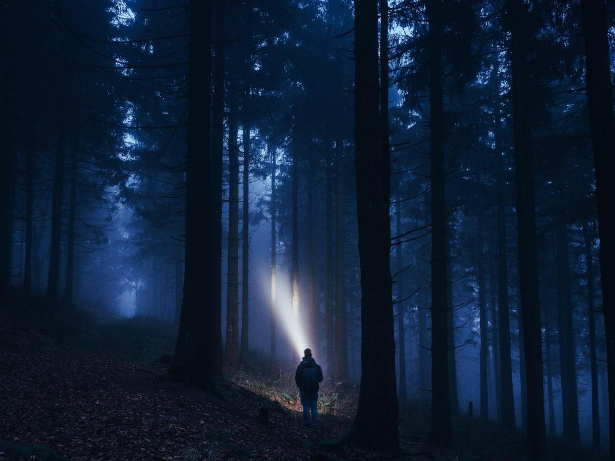 Black Forest Luxury Waldglueck Mit Sauna Konigsfeld im Schwarzwald
