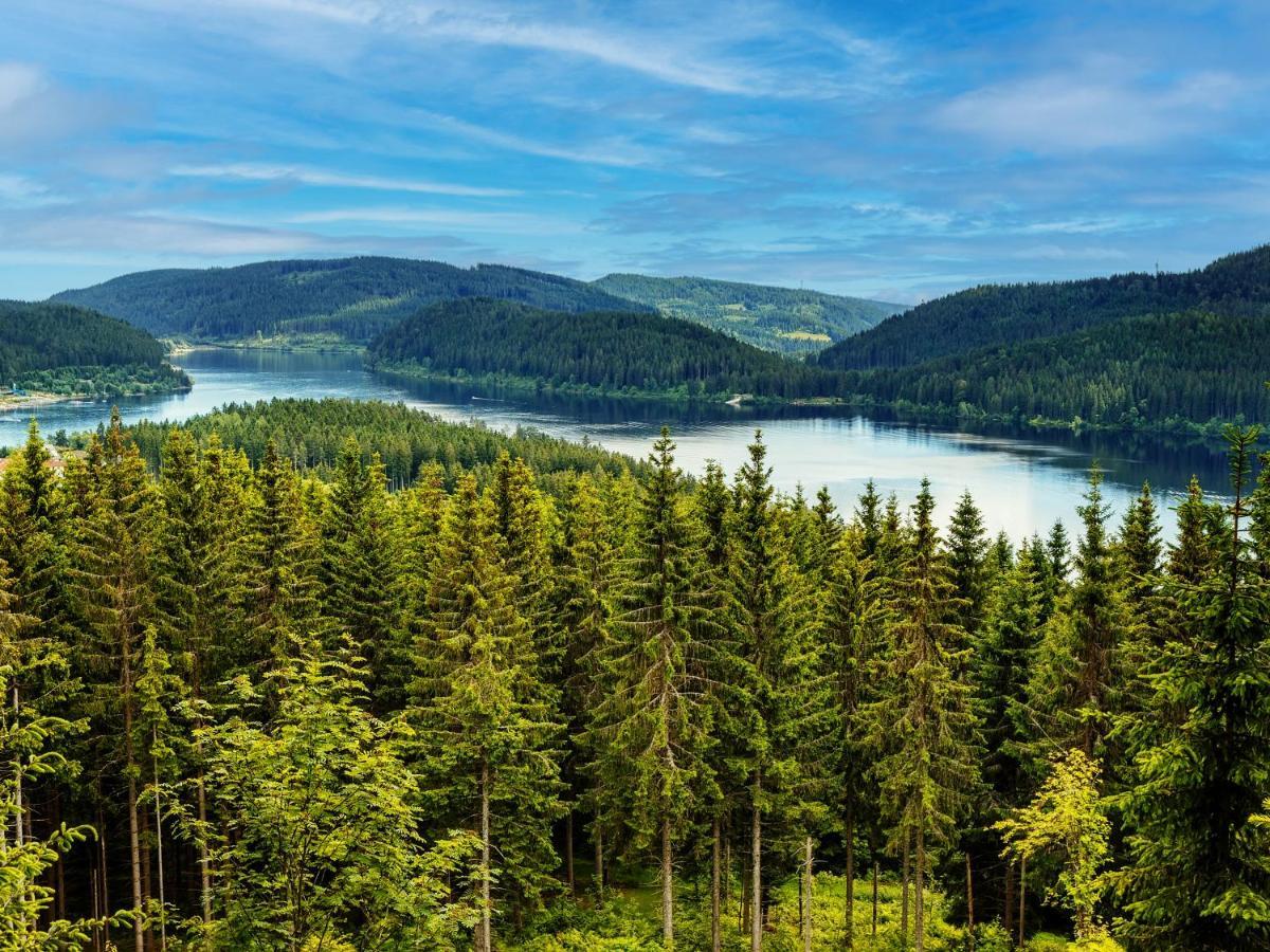 Black Forest Luxury Waldglueck Mit Sauna