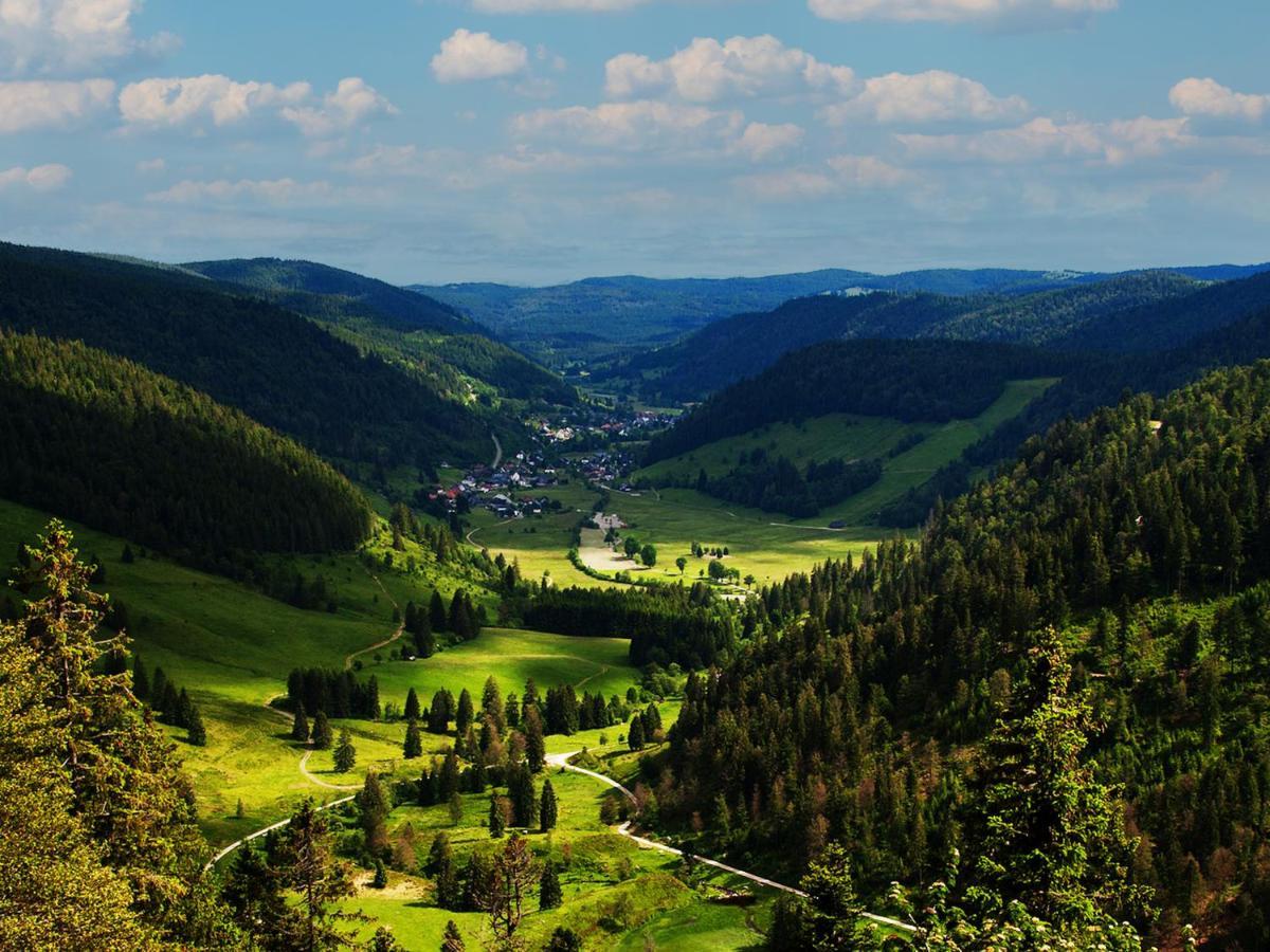 Black Forest Luxury Waldglueck Mit Sauna *